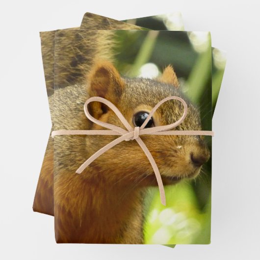 リス自然動物撮影ポートレート ラッピングペーパーシート (インサイチュ)