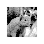 リス自然動物撮影ポートレート ラバースタンプ (インプリント)