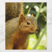 リス自然動物撮影ポートレート ワインラベル (シングルラベル)