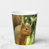 リス自然動物撮影ポートレート 紙コップ (裏面)