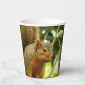 リス自然動物撮影ポートレート 紙コップ (正面)