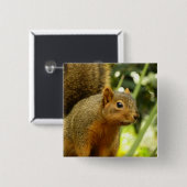 リス自然動物撮影ポートレート 缶バッジ (正面&裏面)