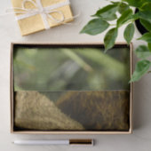 リス自然動物撮影ポートレート 薄葉紙 (ギフト)