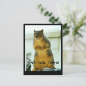 リス葉書 ポストカード (スタンド正面)