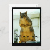 リス葉書 ポストカード (正面/裏面)