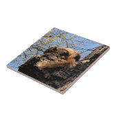 リス製セラミックタイル タイル (側面)