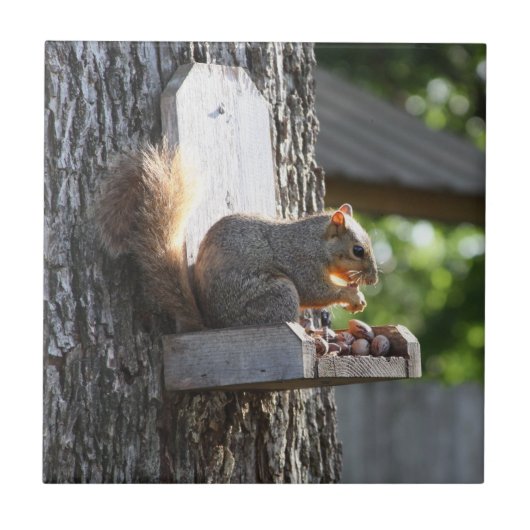 リス製セラミックタイル タイル (正面)