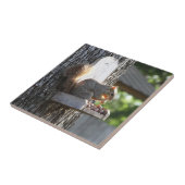 リス製セラミックタイル タイル (側面)