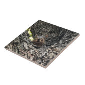 リス製セラミックタイル タイル (側面)