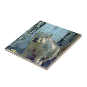 リス製セラミックタイル タイル (側面)