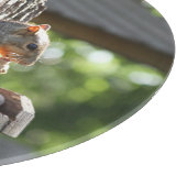 リス製板 カッティングボード (角)