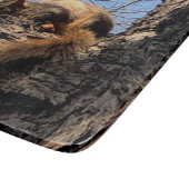 リス製板 カッティングボード (角)