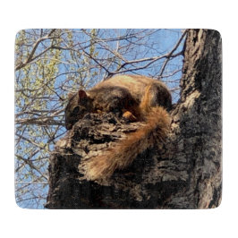 リス製板 カッティングボード