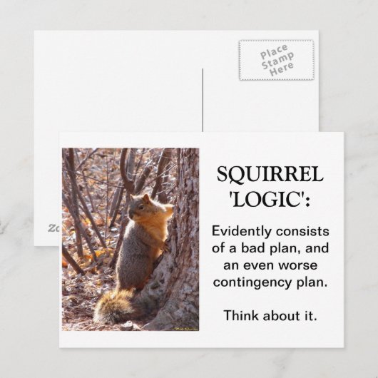 リス論理 ポストカード (正面/裏面)