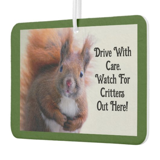 リス車の空気清浄機 カーエアーフレッシュナー (左)