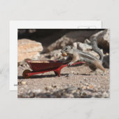 リス農家はがき ポストカード (正面/裏面)