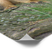 リス遊リス ポスター (角)