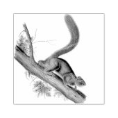 リス野生動物ヴィンテージイラストレーション ラバースタンプ (インプリント)