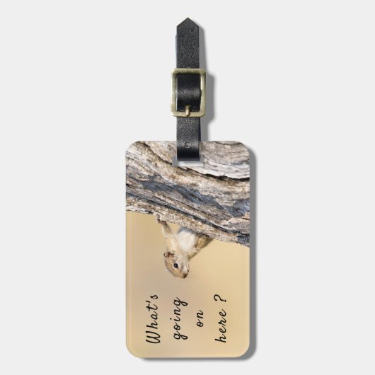リス野生生物写真撮影アフリカサファリ動物 ラゲッジタグ (正面縦)