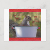 リス鍋 … あなたたち、気がおかしいの?!? ポストカード (正面)