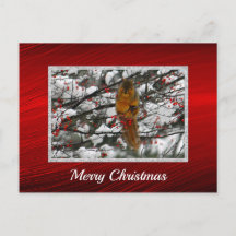 リス雪の木の写真クリスマス