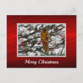 リス雪の木の写真クリスマス ポストカード