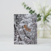 リス雪の木 ポストカード (スタンド正面)