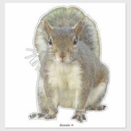 リス顔から顔 シール