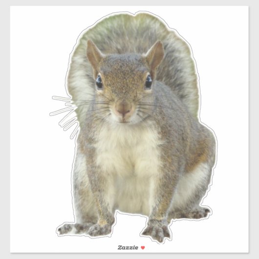 リス顔から顔 シール (シート)