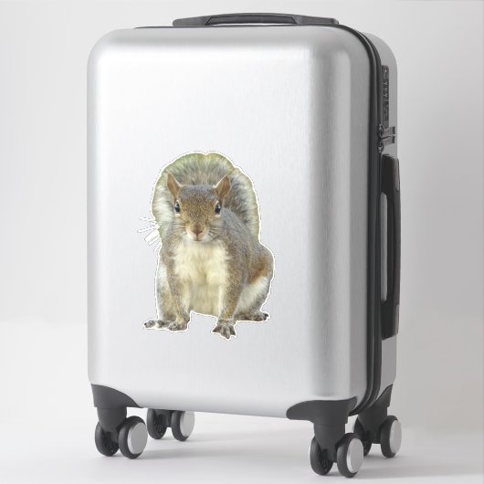 リス顔から顔 シール (スーツケース)