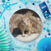 リス顔 ペーパープレート (パーティー)