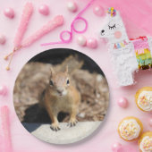 リス顔 ペーパープレート (パーティー)