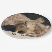 リス顔 ペーパープレート (アングル)