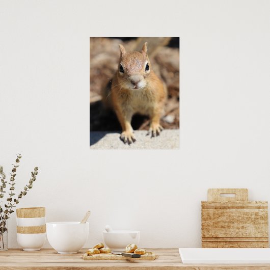 リス顔 ポスター (キッチン)