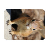 リス顔 マグネット (横)