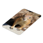 リス顔 マグネット (左側)