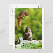 リス飛んでいるク ポストカード (正面/裏面)