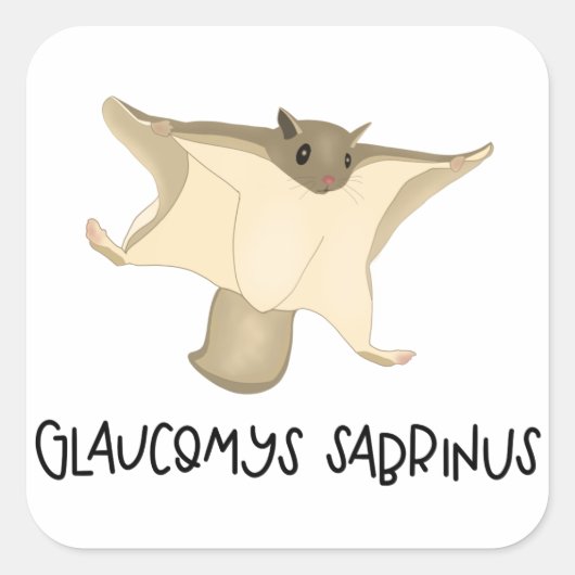 リス飛んでいるシール スクエアシール (正面)