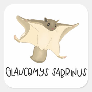 リス飛んでいるシール スクエアシール