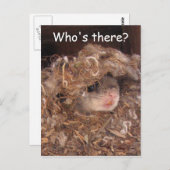 リス飛んでいるルはがき ポストカード (正面/裏面)