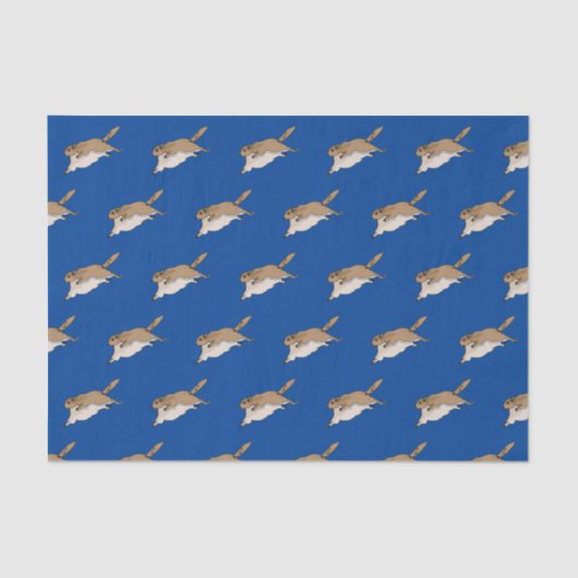 リス飛んでいるルティッシュペーパー 薄葉紙 (正面)