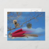 リス飛んでいるル ポストカード (正面/裏面)