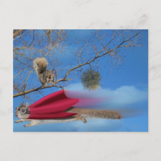 リス飛んでいるル ポストカード (正面)