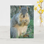 リス食べルすべての行事 カード (黄色い花)