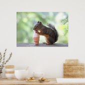 リス食べルのアイスクリームコーン ポスター (キッチン)