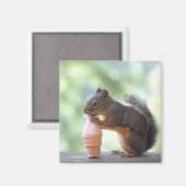 リス食べルのアイスクリームコーン マグネット (正面/裏面)