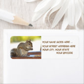 リス食べルのピーナッツ差出人住所ラベル ラベル (インサイチュ)