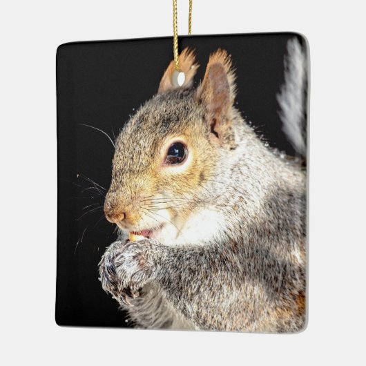 リス食べルの木の実 セラミックオーナメント (左)
