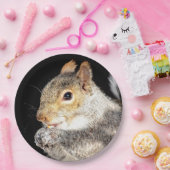 リス食べルの木の実 ペーパープレート (パーティー)