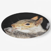 リス食べルの木の実 ペーパープレート (アングル)